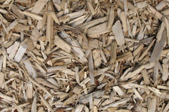 biomass boilers Amroth